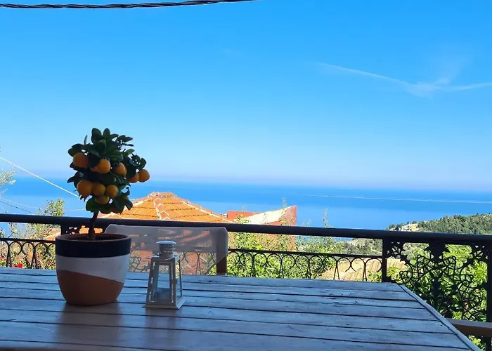 Pure Blue House